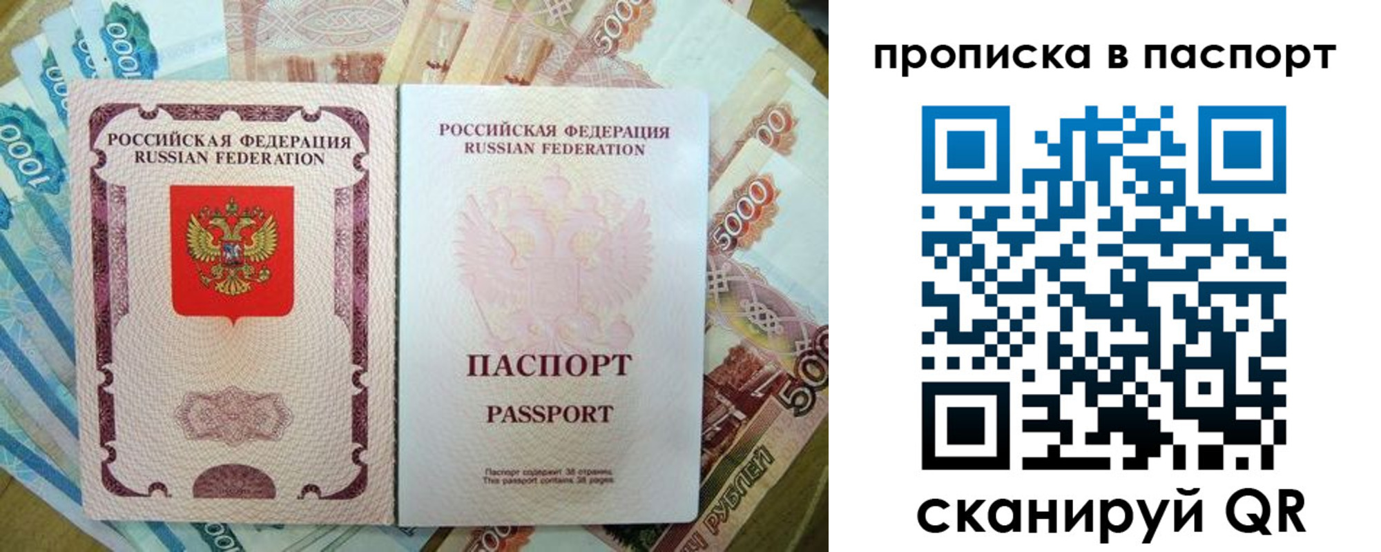 прописка регистрация в Курской области